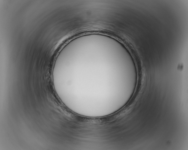 X0000114081210200910050952