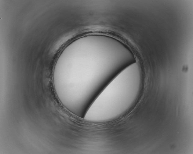 X0000114081213200910050952