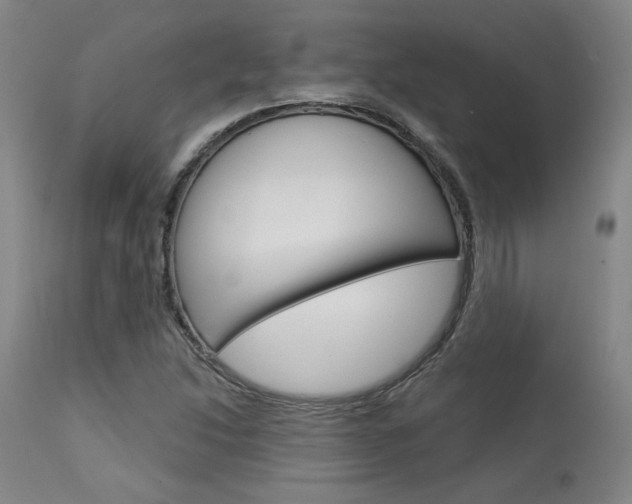 X0000114081214200910050952