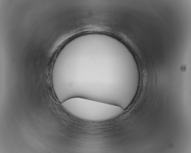X0000114081215200910050952