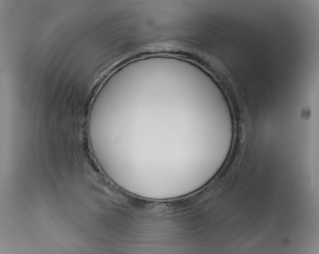 X0000114081217200910050952