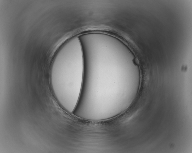 X0000114081221200910050952