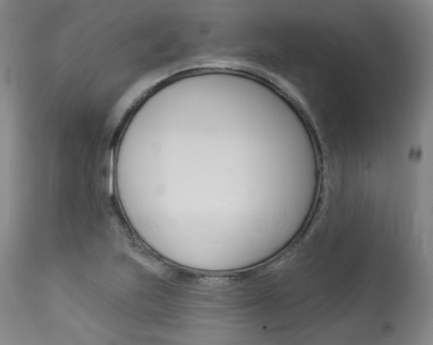 X0000114081223200910050952