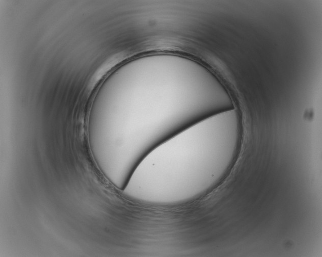 X0000114081226200910050952