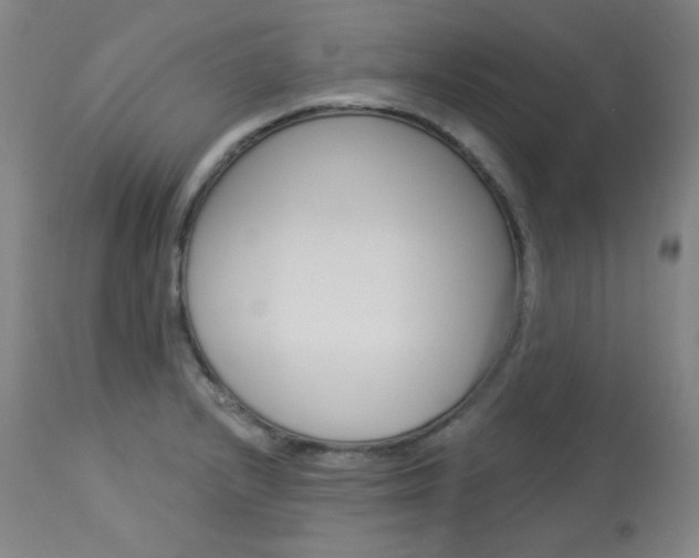 X0000114081232200910050952