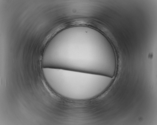 X0000114081233200910050952