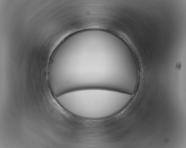 X0000114081236200910050952