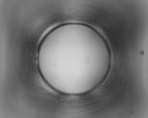 X0000114081238200910050952
