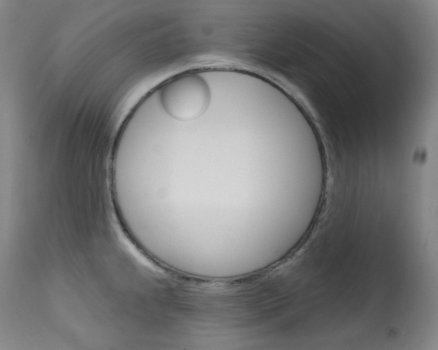 X0000114081239200910050952