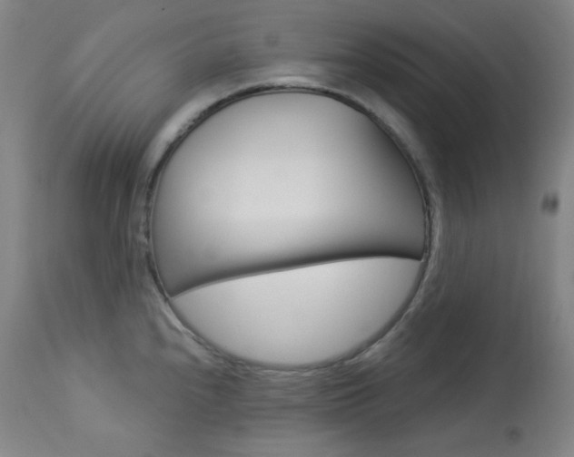 X0000114081240200910050952