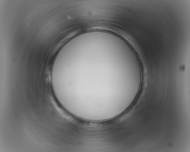 X0000114081241200910050952