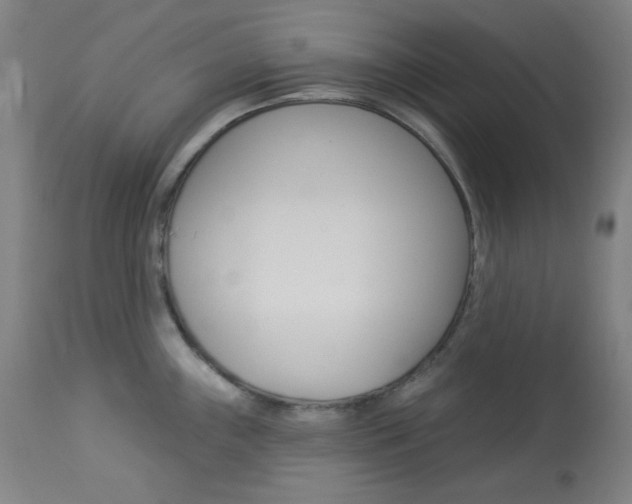 X0000114081243200910050952
