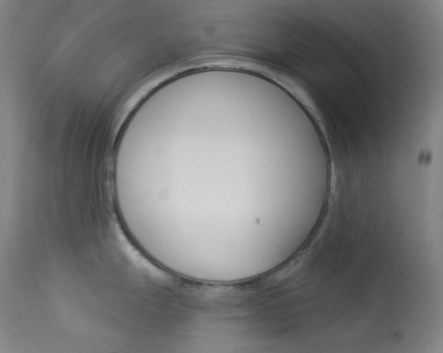 X0000114081247200910050952