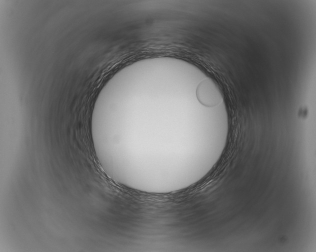 X0000114081249200910050951