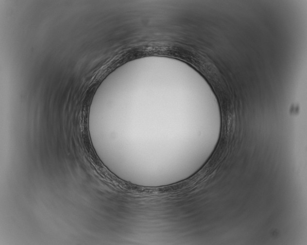 X0000114081250200910050951