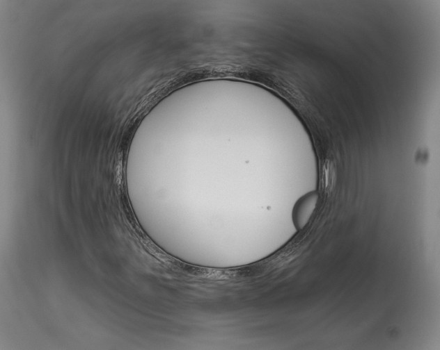 X0000114081251200910050951