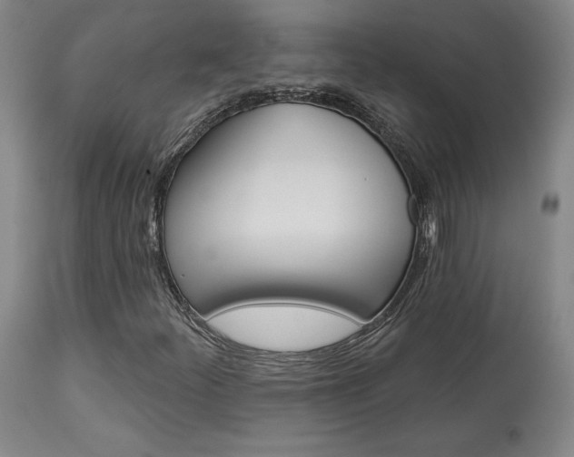 X0000114081252200910050951
