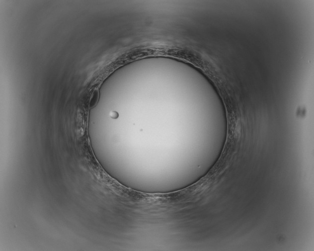 X0000114081253200910050951