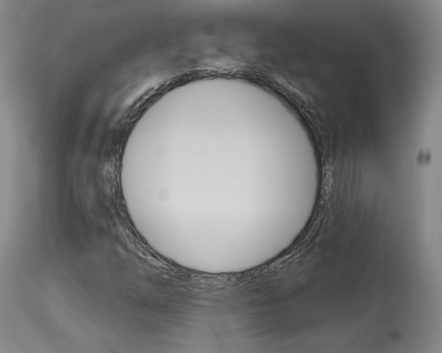 X0000114081254200910050951