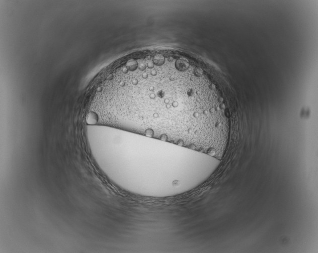 X0000114081255200910050951