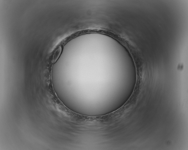 X0000114081256200910050951