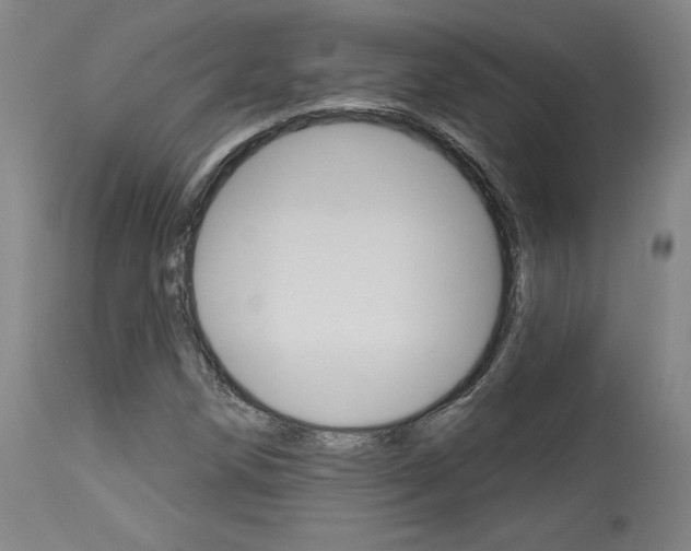 X0000114081258200910050951