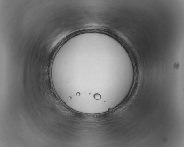 X0000114081259200910050951