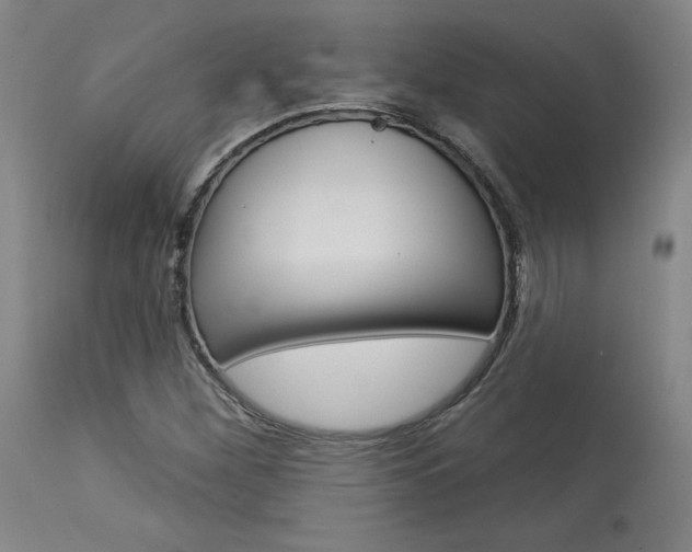 X0000114081260200910050951