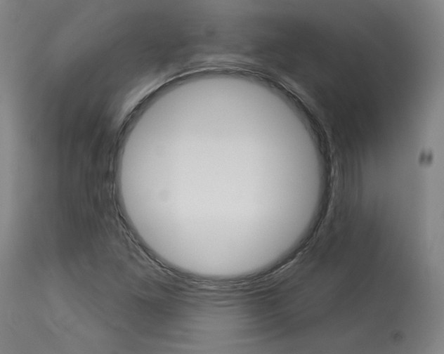 X0000114081261200910050951