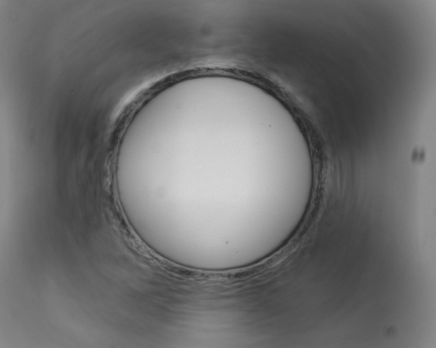 X0000114081262200910050951