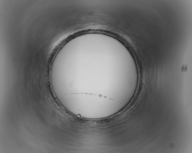 X0000114081263200910050951