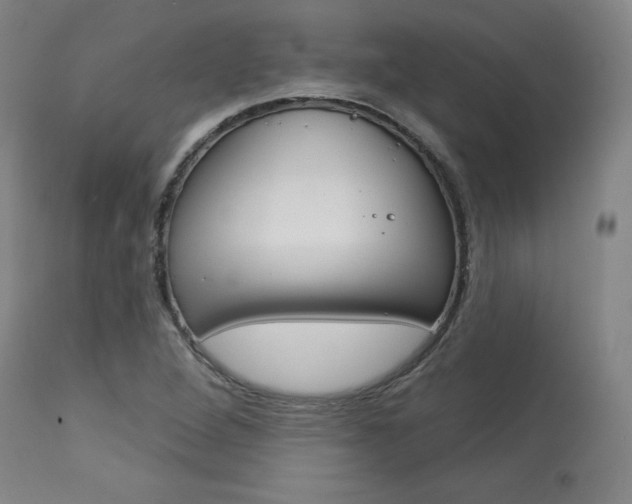 X0000114081264200910050951