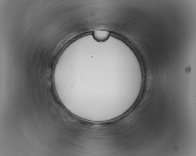X0000114081265200910050951