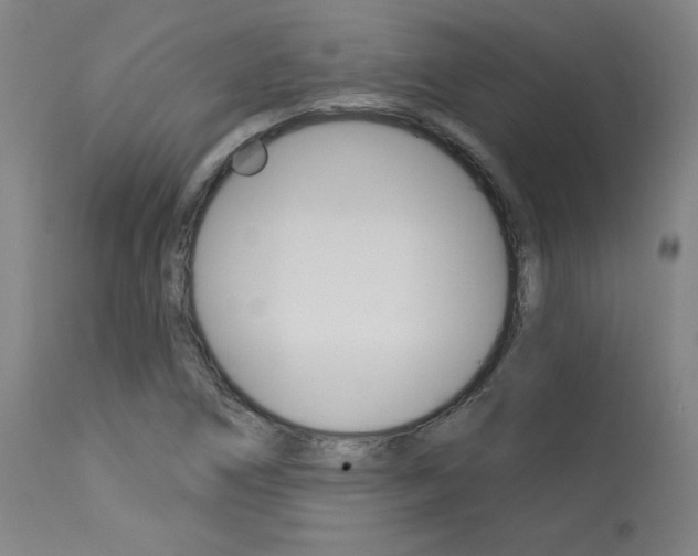 X0000114081266200910050951