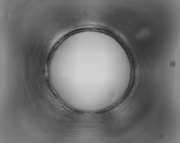 X0000114081267200910050951
