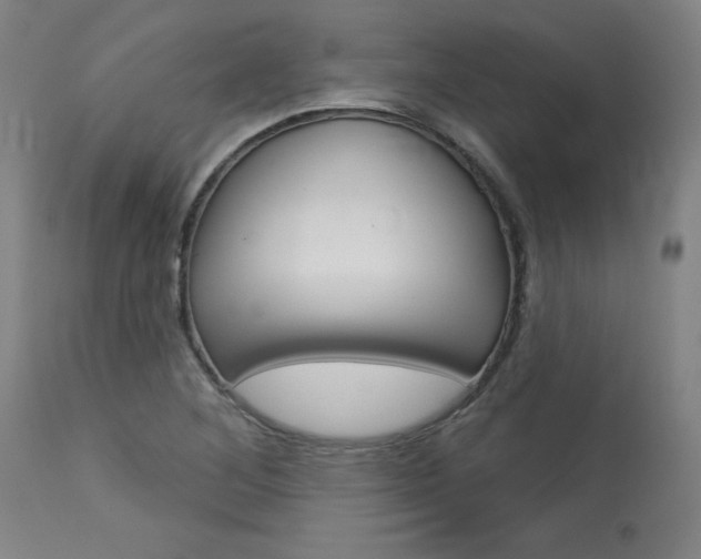 X0000114081268200910050951