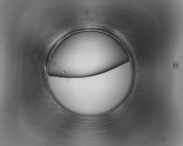 X0000114081269200910050951