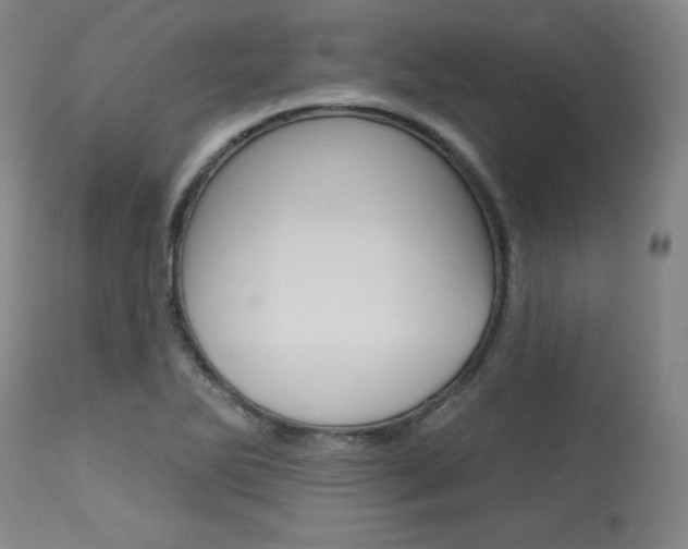 X0000114081270200910050951