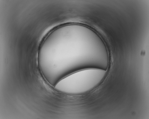 X0000114081272200910050951