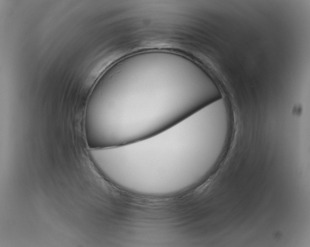 X0000114081273200910050951