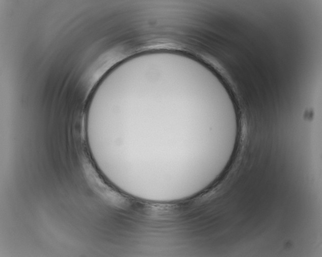 X0000114081274200910050951