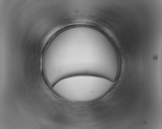X0000114081275200910050951