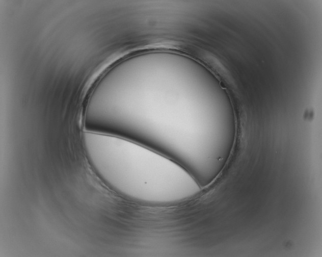 X0000114081276200910050951