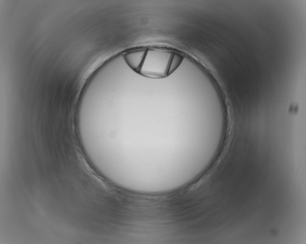 X0000114081277200910050951