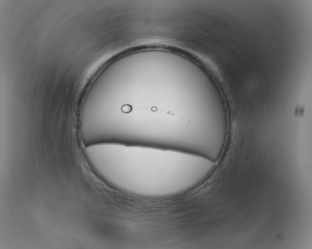 X0000114081279200910050951