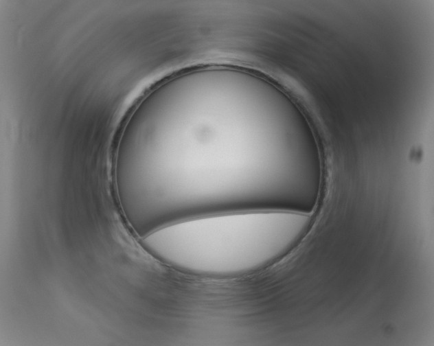 X0000114081280200910050951