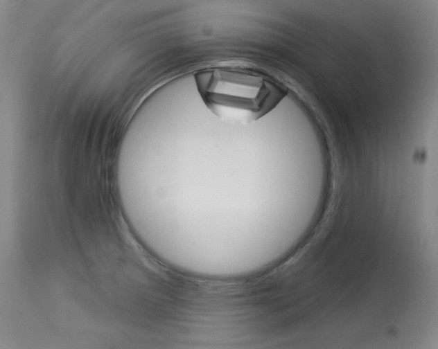 X0000114081281200910050951