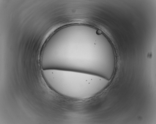 X0000114081283200910050951