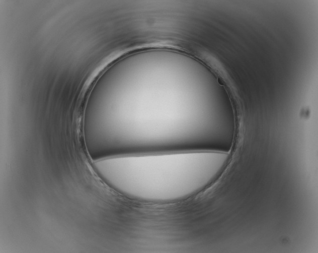 X0000114081284200910050951