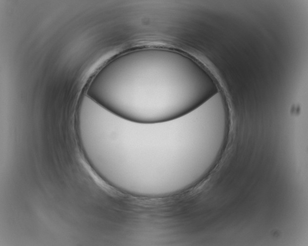 X0000114081285200910050951